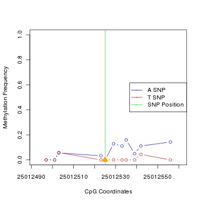 Allele Specific Methylation Frequency Diagram for chr20 25012525 SNP.