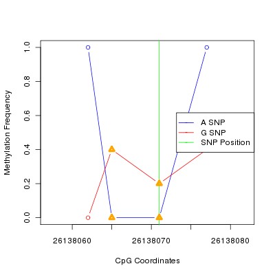 Allele Specific Methylation Frequency Diagram for chr20 26138071 SNP.