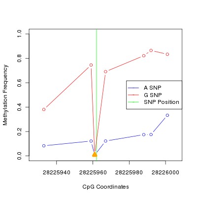 Allele Specific Methylation Frequency Diagram for chr20 28225962 SNP.