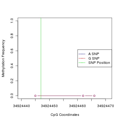 Allele Specific Methylation Frequency Diagram for chr20 34924447 SNP.