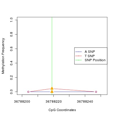 Allele Specific Methylation Frequency Diagram for chr20 36788219 SNP.