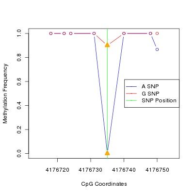 Allele Specific Methylation Frequency Diagram for chr20 4176735 SNP.