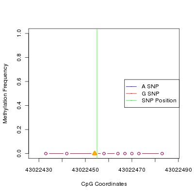 Allele Specific Methylation Frequency Diagram for chr20 43022455 SNP.