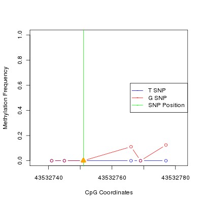 Allele Specific Methylation Frequency Diagram for chr20 43532751 SNP.