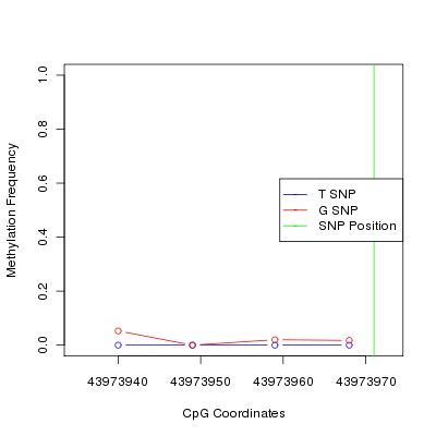 Allele Specific Methylation Frequency Diagram for chr20 43973971 SNP.