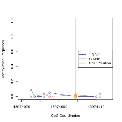 Allele Specific Methylation Frequency Diagram for chr20 43974099 SNP.