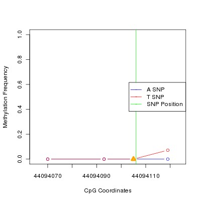 Allele Specific Methylation Frequency Diagram for chr20 44094106 SNP.