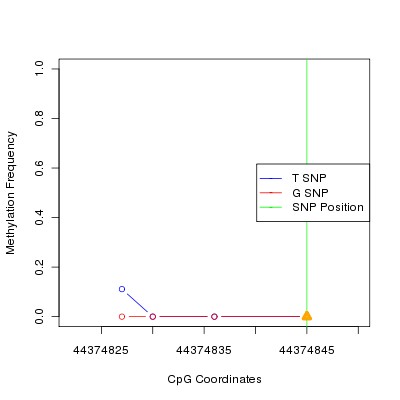 Allele Specific Methylation Frequency Diagram for chr20 44374845 SNP.