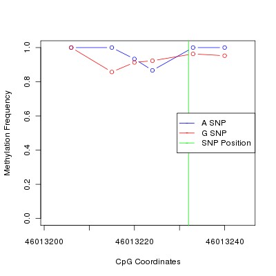 Allele Specific Methylation Frequency Diagram for chr20 46013232 SNP.
