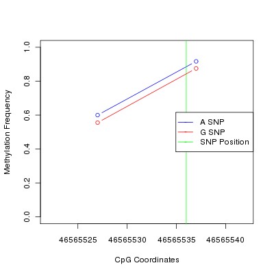 Allele Specific Methylation Frequency Diagram for chr20 46565536 SNP.