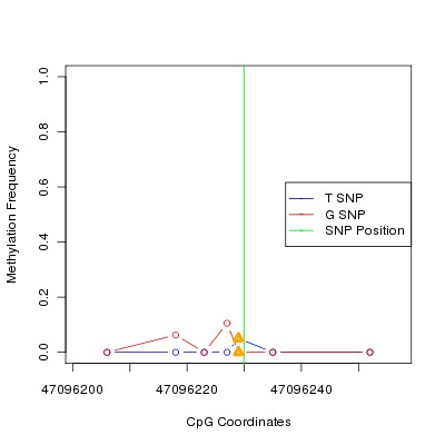 Allele Specific Methylation Frequency Diagram for chr20 47096230 SNP.