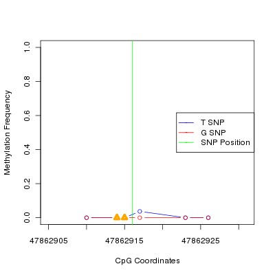 Allele Specific Methylation Frequency Diagram for chr20 47862916 SNP.