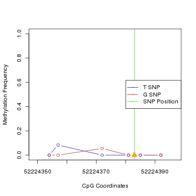 Allele Specific Methylation Frequency Diagram for chr20 52224383 SNP.