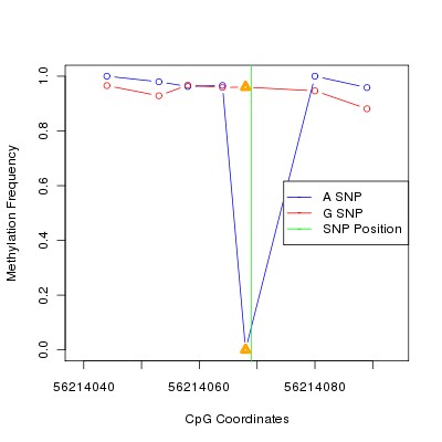 Allele Specific Methylation Frequency Diagram for chr20 56214069 SNP.
