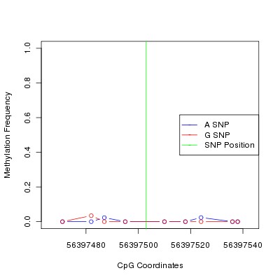 Allele Specific Methylation Frequency Diagram for chr20 56397503 SNP.