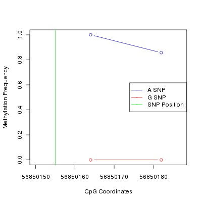 Allele Specific Methylation Frequency Diagram for chr20 56850155 SNP.