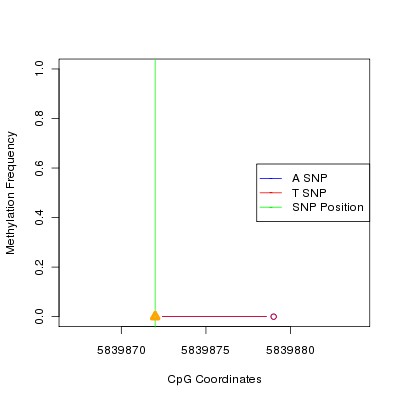 Allele Specific Methylation Frequency Diagram for chr20 5839872 SNP.