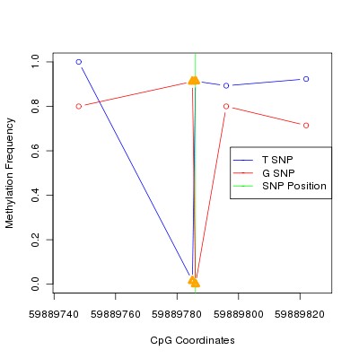 Allele Specific Methylation Frequency Diagram for chr20 59889786 SNP.