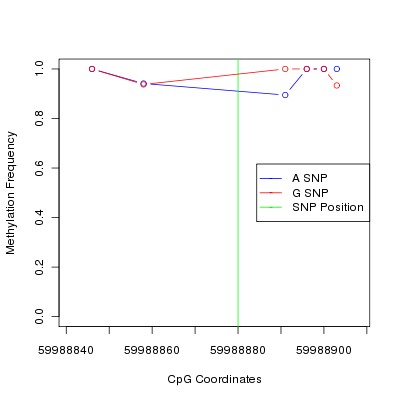 Allele Specific Methylation Frequency Diagram for chr20 59988880 SNP.