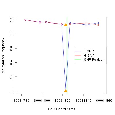 Allele Specific Methylation Frequency Diagram for chr20 60061824 SNP.