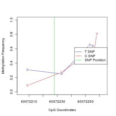 Allele Specific Methylation Frequency Diagram for chr20 60072228 SNP.
