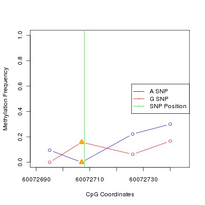 Allele Specific Methylation Frequency Diagram for chr20 60072708 SNP.