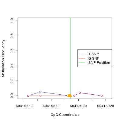 Allele Specific Methylation Frequency Diagram for chr20 60415894 SNP.