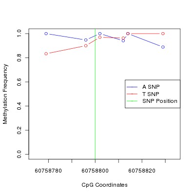 Allele Specific Methylation Frequency Diagram for chr20 60758800 SNP.