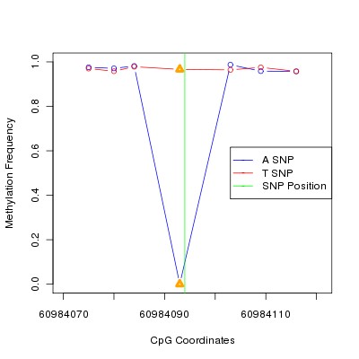 Allele Specific Methylation Frequency Diagram for chr20 60984094 SNP.