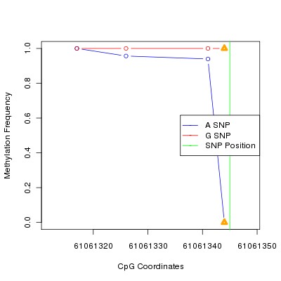 Allele Specific Methylation Frequency Diagram for chr20 61061345 SNP.