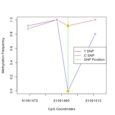 Allele Specific Methylation Frequency Diagram for chr20 61061494 SNP.