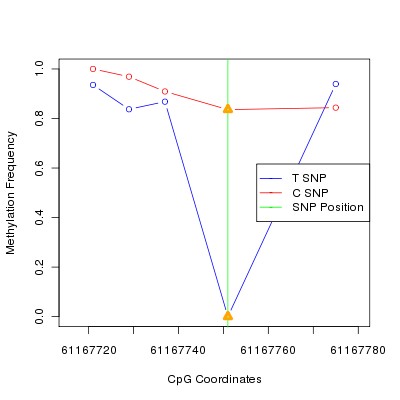 Allele Specific Methylation Frequency Diagram for chr20 61167751 SNP.