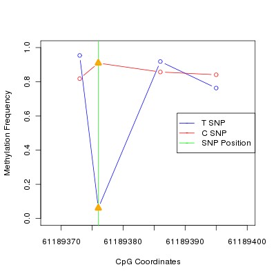 Allele Specific Methylation Frequency Diagram for chr20 61189376 SNP.