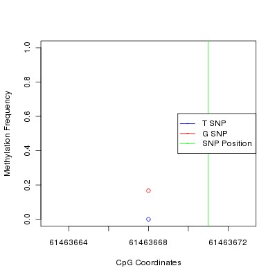 Allele Specific Methylation Frequency Diagram for chr20 61463671 SNP.