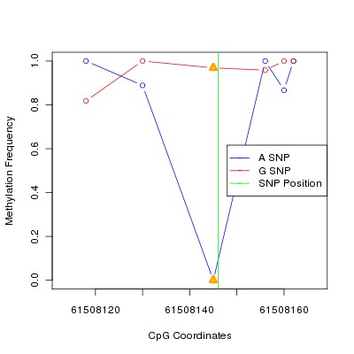 Allele Specific Methylation Frequency Diagram for chr20 61508146 SNP.
