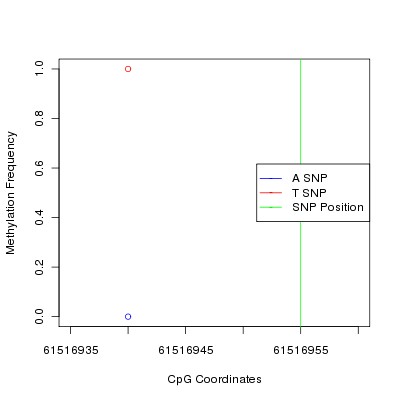 Allele Specific Methylation Frequency Diagram for chr20 61516955 SNP.