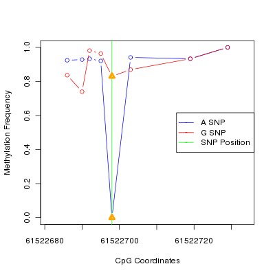 Allele Specific Methylation Frequency Diagram for chr20 61522698 SNP.