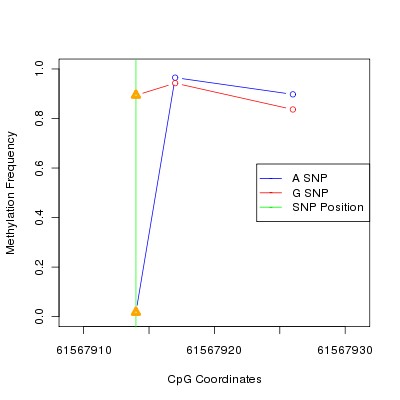 Allele Specific Methylation Frequency Diagram for chr20 61567914 SNP.