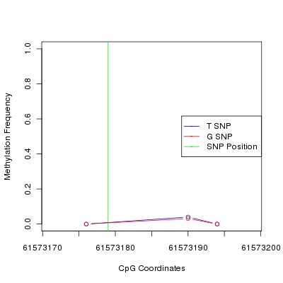 Allele Specific Methylation Frequency Diagram for chr20 61573179 SNP.