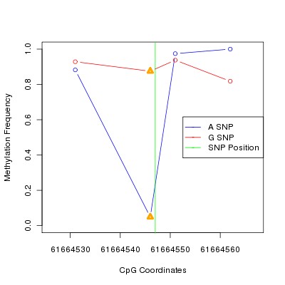 Allele Specific Methylation Frequency Diagram for chr20 61664547 SNP.