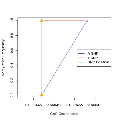 Allele Specific Methylation Frequency Diagram for chr20 61668447 SNP.