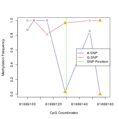 Allele Specific Methylation Frequency Diagram for chr20 61669130 SNP.