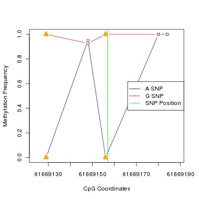 Allele Specific Methylation Frequency Diagram for chr20 61669157 SNP.