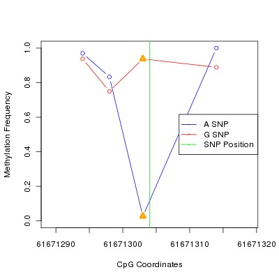 Allele Specific Methylation Frequency Diagram for chr20 61671304 SNP.