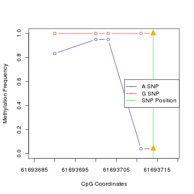 Allele Specific Methylation Frequency Diagram for chr20 61693714 SNP.