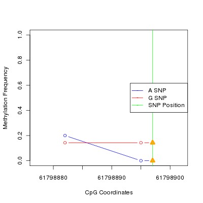 Allele Specific Methylation Frequency Diagram for chr20 61798897 SNP.