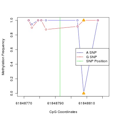 Allele Specific Methylation Frequency Diagram for chr20 61848793 SNP.