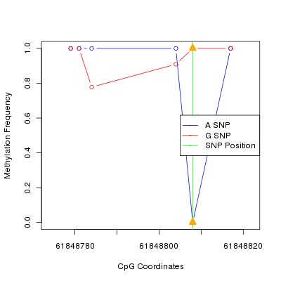 Allele Specific Methylation Frequency Diagram for chr20 61848808 SNP.