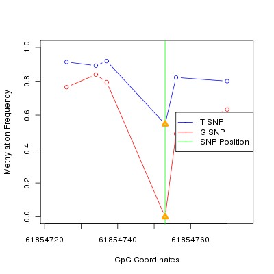 Allele Specific Methylation Frequency Diagram for chr20 61854753 SNP.