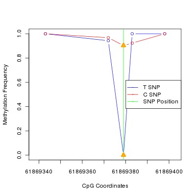 Allele Specific Methylation Frequency Diagram for chr20 61869379 SNP.